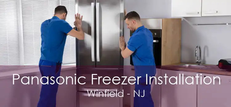 Panasonic Freezer Installation Winfield - NJ