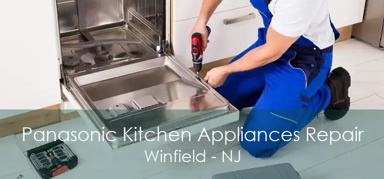 Panasonic Kitchen Appliances Repair Winfield - NJ