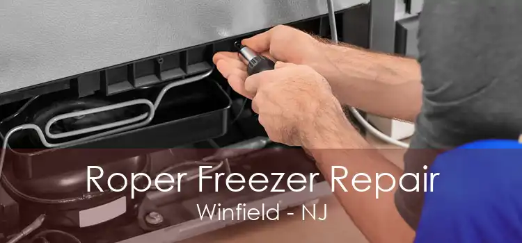 Roper Freezer Repair Winfield - NJ