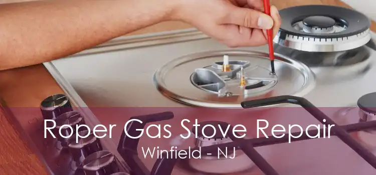 Roper Gas Stove Repair Winfield - NJ