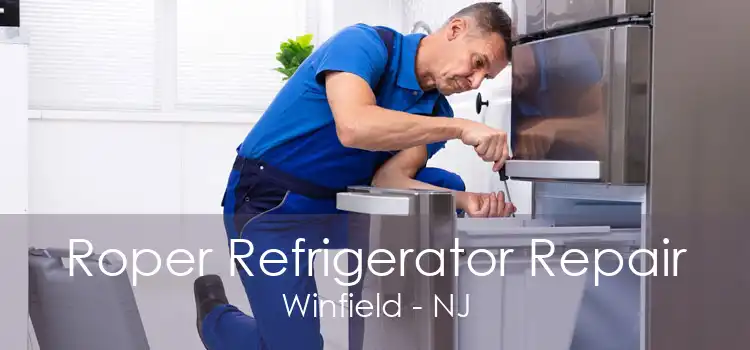 Roper Refrigerator Repair Winfield - NJ