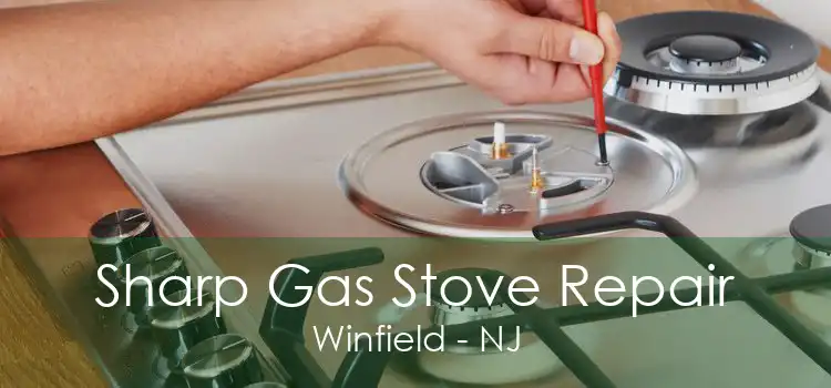 Sharp Gas Stove Repair Winfield - NJ