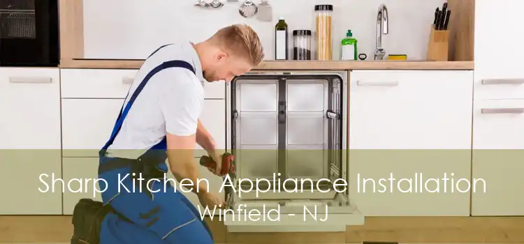 Sharp Kitchen Appliance Installation Winfield - NJ