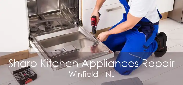 Sharp Kitchen Appliances Repair Winfield - NJ