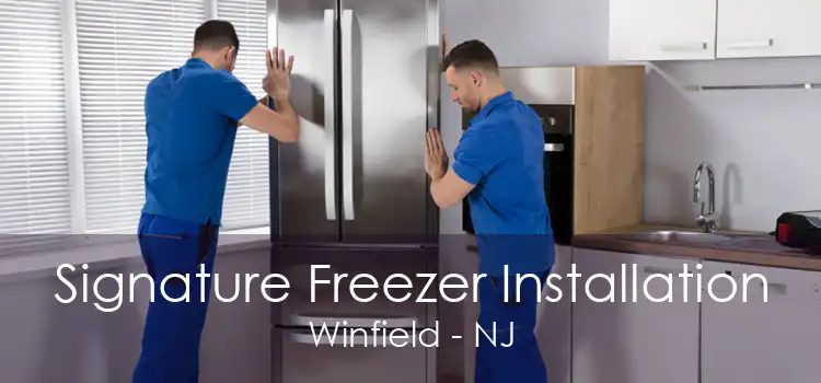 Signature Freezer Installation Winfield - NJ