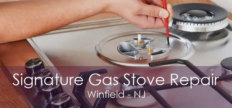 Signature Gas Stove Repair Winfield - NJ