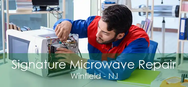 Signature Microwave Repair Winfield - NJ