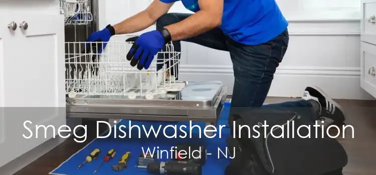 Smeg Dishwasher Installation Winfield - NJ