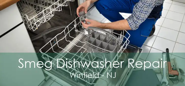 Smeg Dishwasher Repair Winfield - NJ