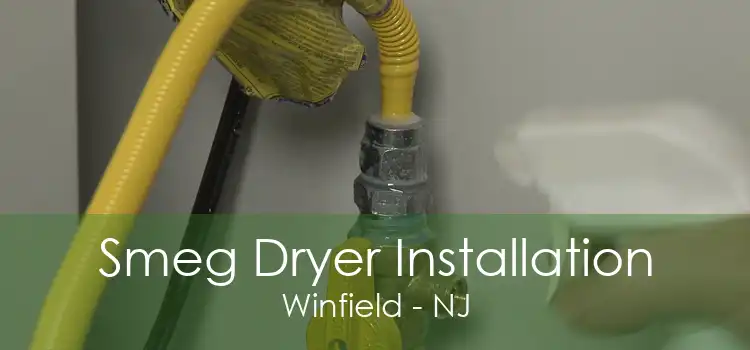 Smeg Dryer Installation Winfield - NJ