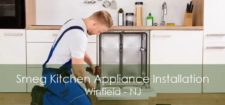 Smeg Kitchen Appliance Installation Winfield - NJ