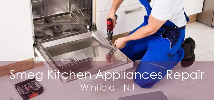Smeg Kitchen Appliances Repair Winfield - NJ