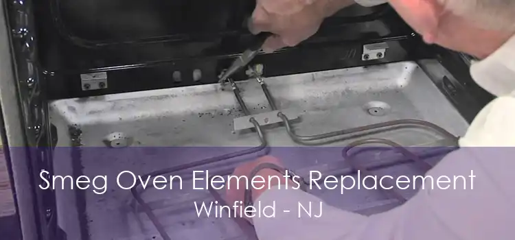 Smeg Oven Elements Replacement Winfield - NJ