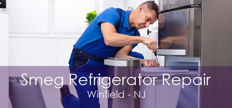 Smeg Refrigerator Repair Winfield - NJ