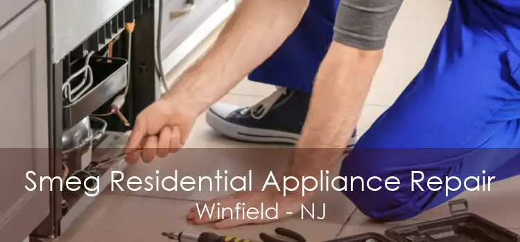 Smeg Residential Appliance Repair Winfield - NJ