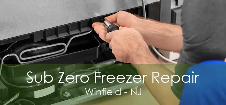 Sub Zero Freezer Repair Winfield - NJ