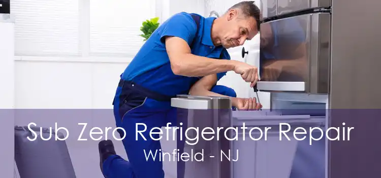 Sub Zero Refrigerator Repair Winfield - NJ
