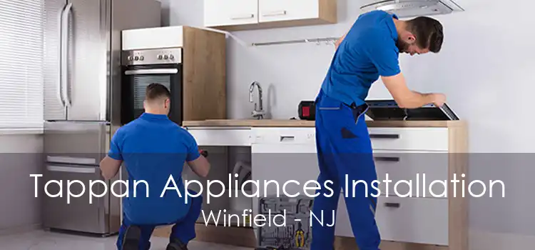 Tappan Appliances Installation Winfield - NJ
