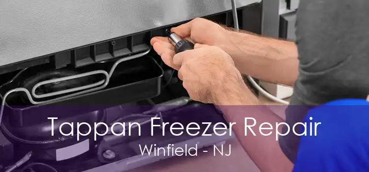 Tappan Freezer Repair Winfield - NJ