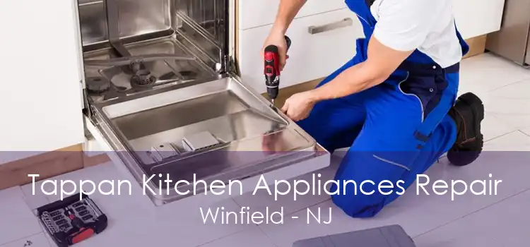 Tappan Kitchen Appliances Repair Winfield - NJ