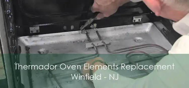 Thermador Oven Elements Replacement Winfield - NJ
