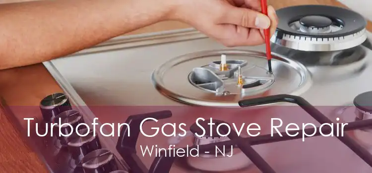Turbofan Gas Stove Repair Winfield - NJ