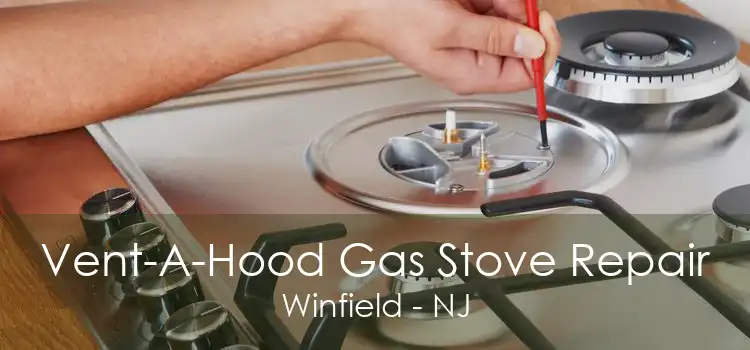 Vent-A-Hood Gas Stove Repair Winfield - NJ
