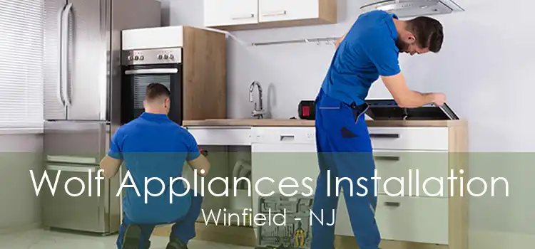 Wolf Appliances Installation Winfield - NJ
