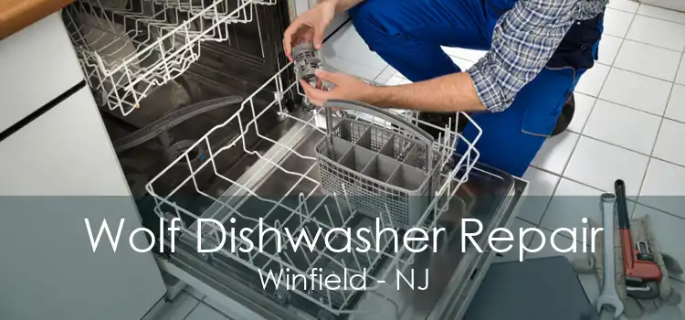 Wolf Dishwasher Repair Winfield - NJ