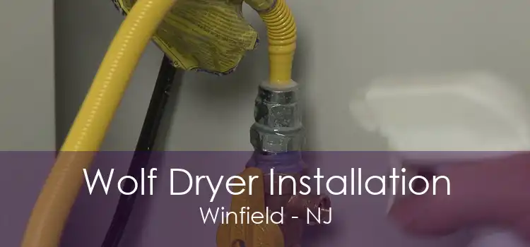 Wolf Dryer Installation Winfield - NJ