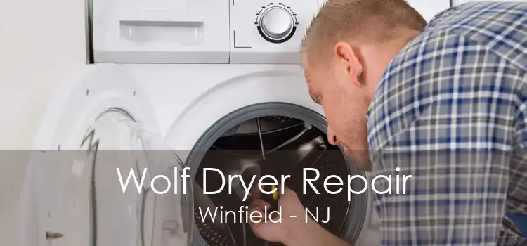 Wolf Dryer Repair Winfield - NJ