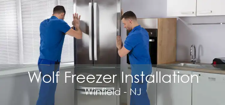 Wolf Freezer Installation Winfield - NJ