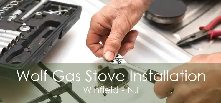 Wolf Gas Stove Installation Winfield - NJ