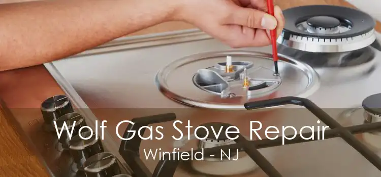 Wolf Gas Stove Repair Winfield - NJ