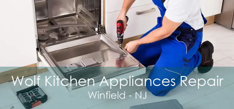 Wolf Kitchen Appliances Repair Winfield - NJ