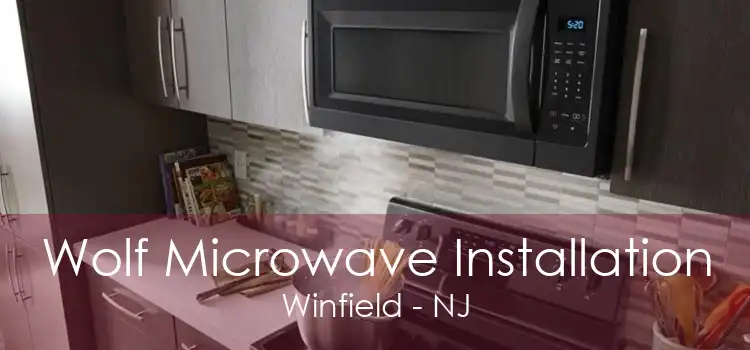 Wolf Microwave Installation Winfield - NJ