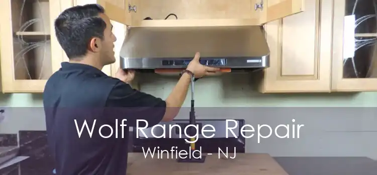 Wolf Range Repair Winfield - NJ