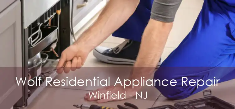 Wolf Residential Appliance Repair Winfield - NJ