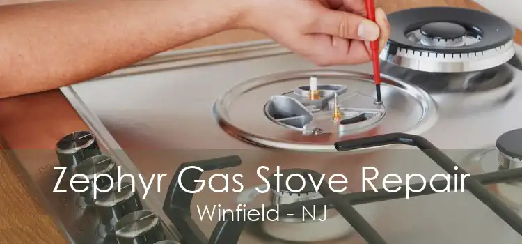Zephyr Gas Stove Repair Winfield - NJ