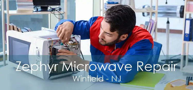 Zephyr Microwave Repair Winfield - NJ